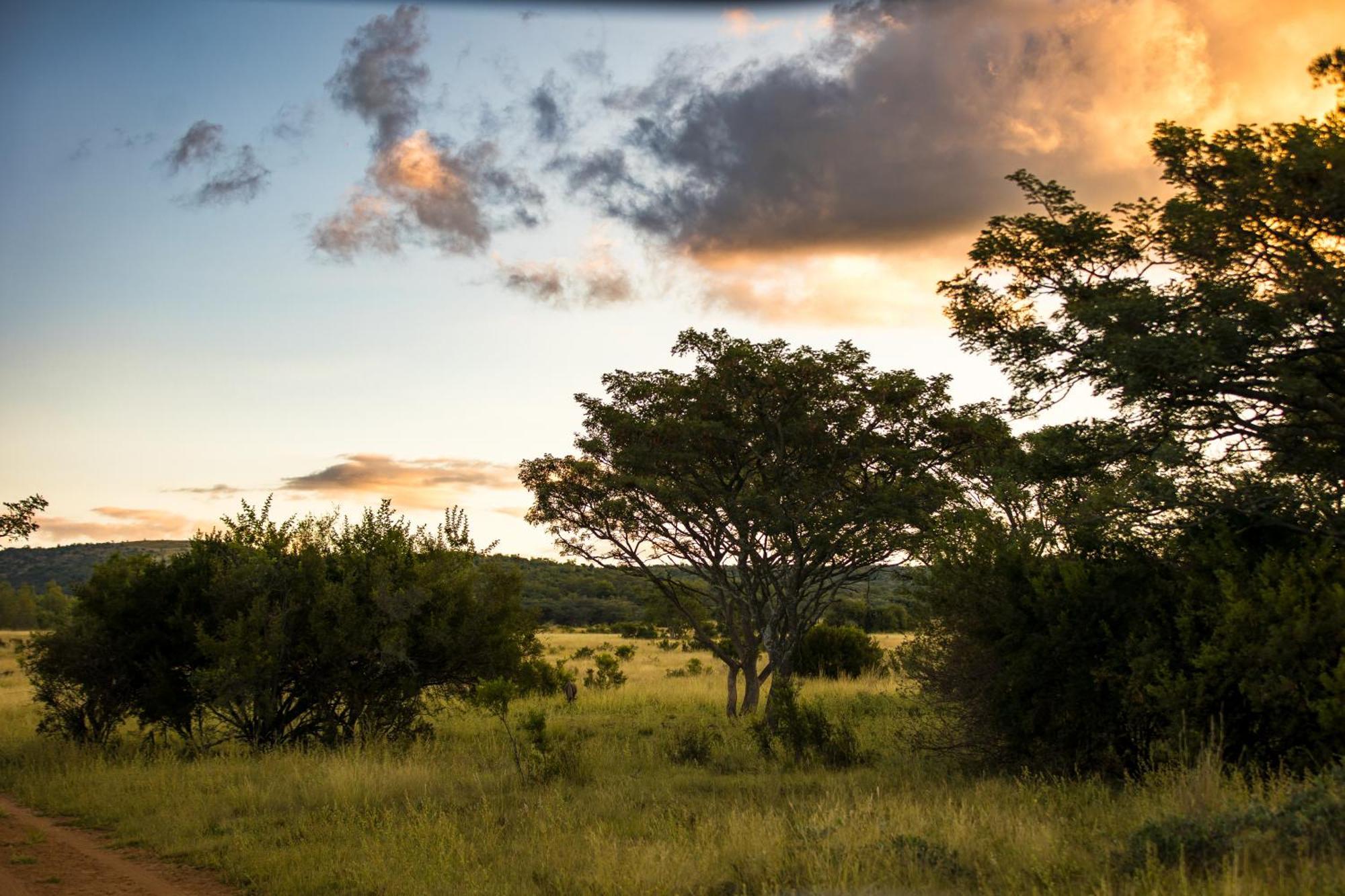 Kololo Game Reserve Фаалватер Екстериор снимка