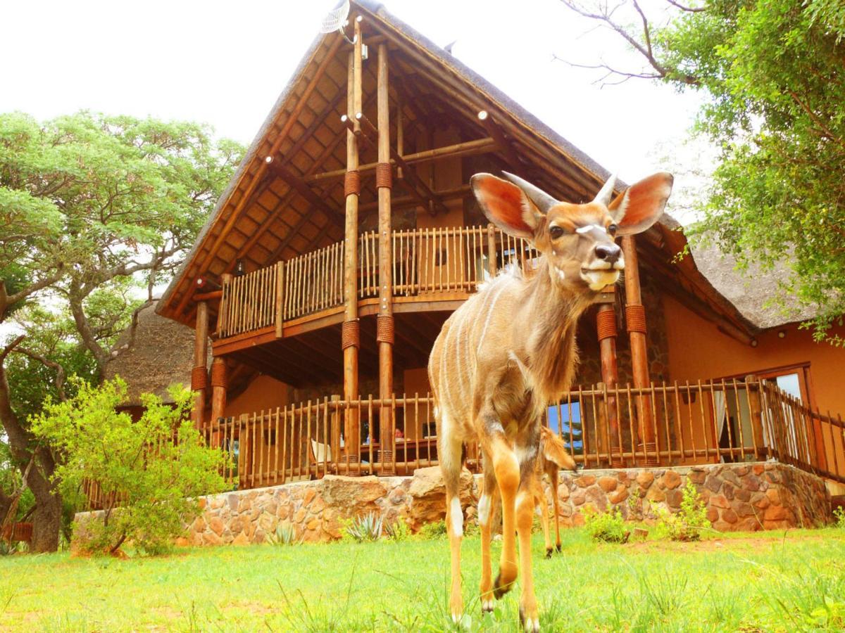Kololo Game Reserve Фаалватер Екстериор снимка